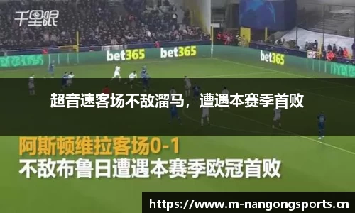 ng28体育平台