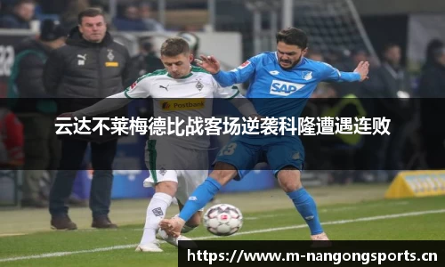 ng28体育官网