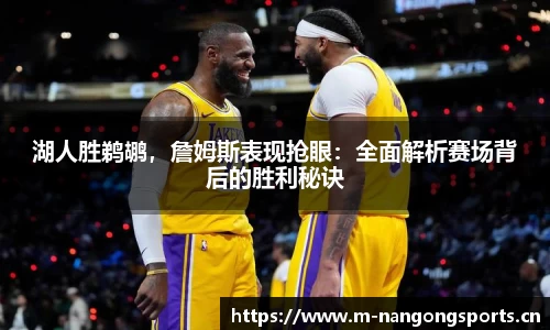 湖人胜鹈鹕，詹姆斯表现抢眼：全面解析赛场背后的胜利秘诀