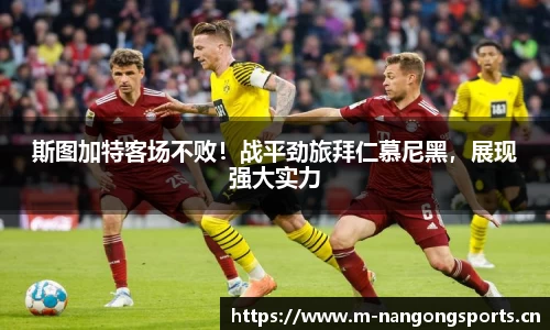 ng28体育平台