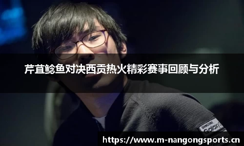 ng28体育官网