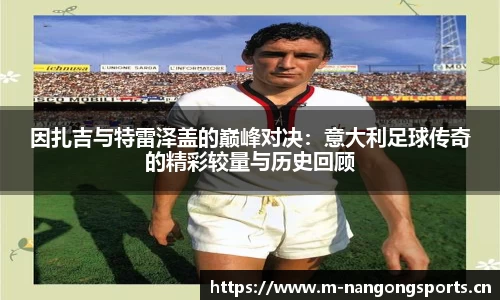 ng28体育官网